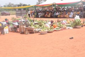 exhibition of crop products by farmers on the farmers day