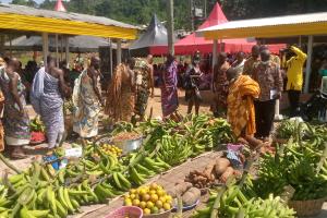 THE 37TH NATIONAL FARMERS DAY CELEBRATION 