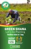 THE GREEN GHANA IN THE BOSOMTWE CONSTITUENCY